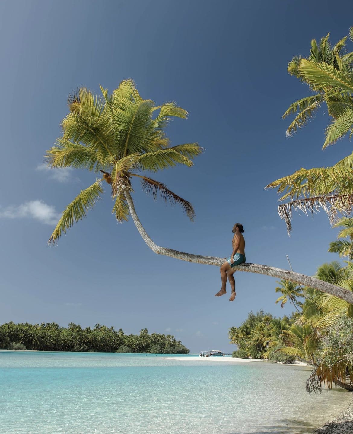Palm lined beaches in Aitutaki